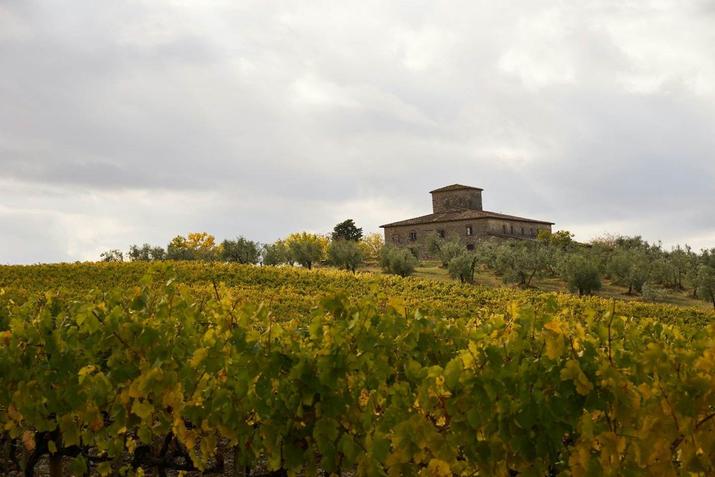 Casale in pietra sopra il vigneto