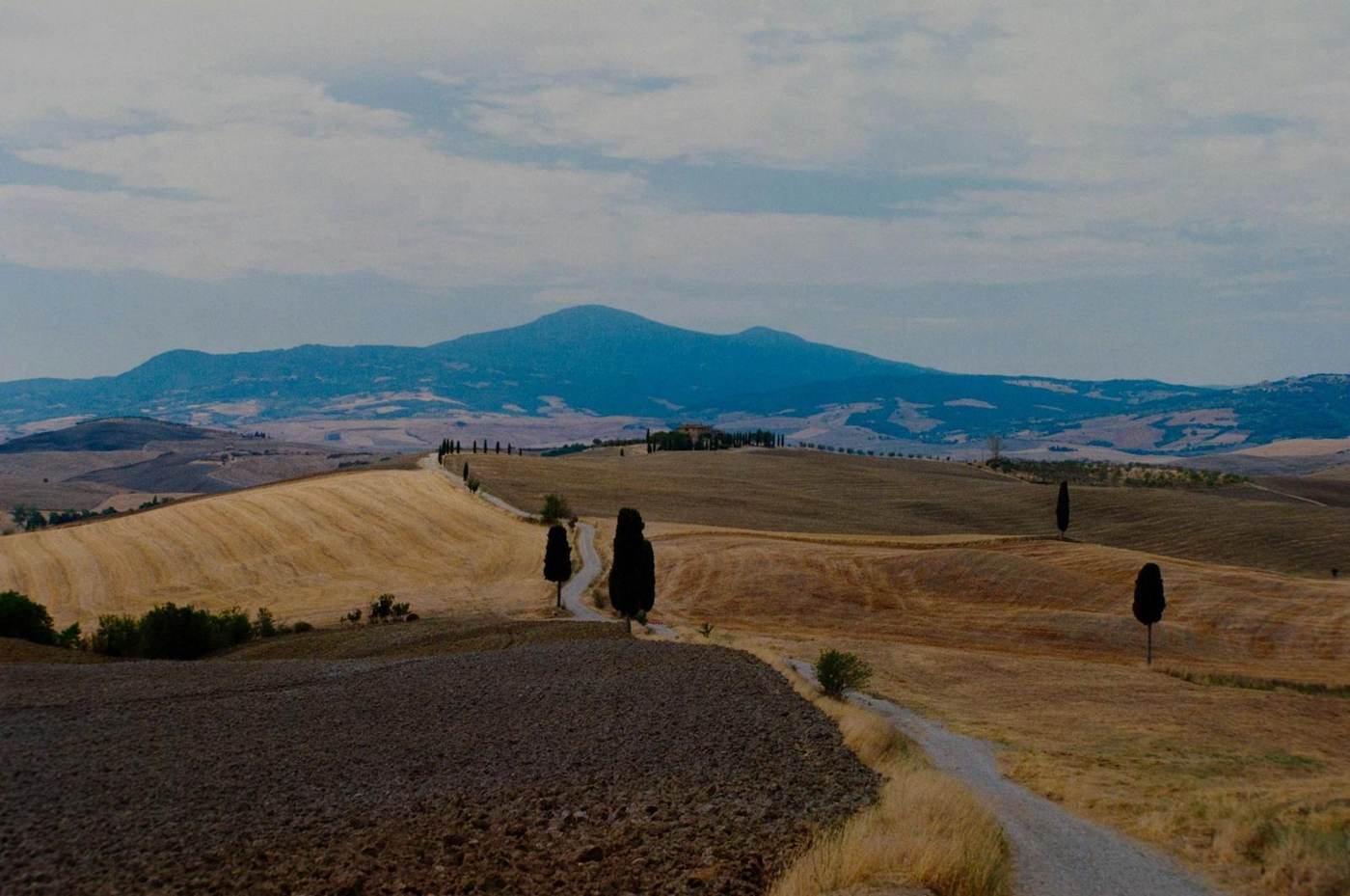 Colline con cipressi